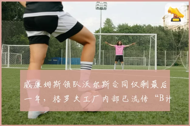 威廉姆斯领队沃尔斯合同仅剩最后一年，格罗夫工厂内部已流传“B计划”候选人名单__br_