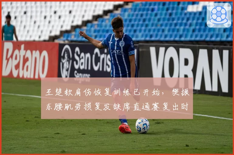 王楚钦肩伤恢复训练已开始，樊振东腰肌劳损复发缺席直通赛复出时间成谜